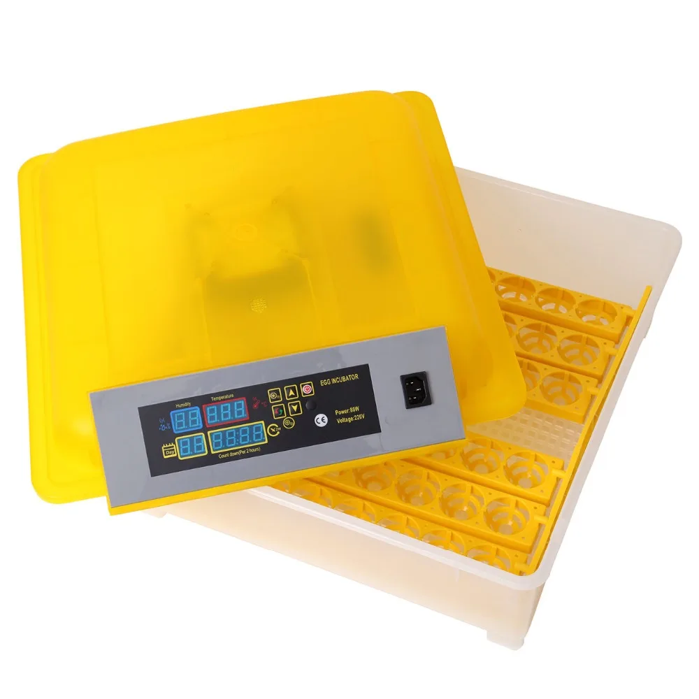 s-l1600 (5)