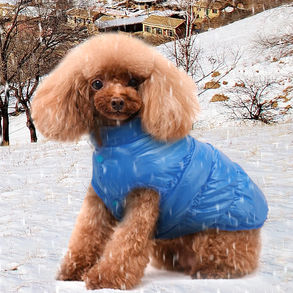 Зимняя теплая одежда для домашних животных Толстая собачья куртка Собака породы чихуахуа одежда пальто маленькие собаки жилет щенок йоркширского терьера питбул одежда