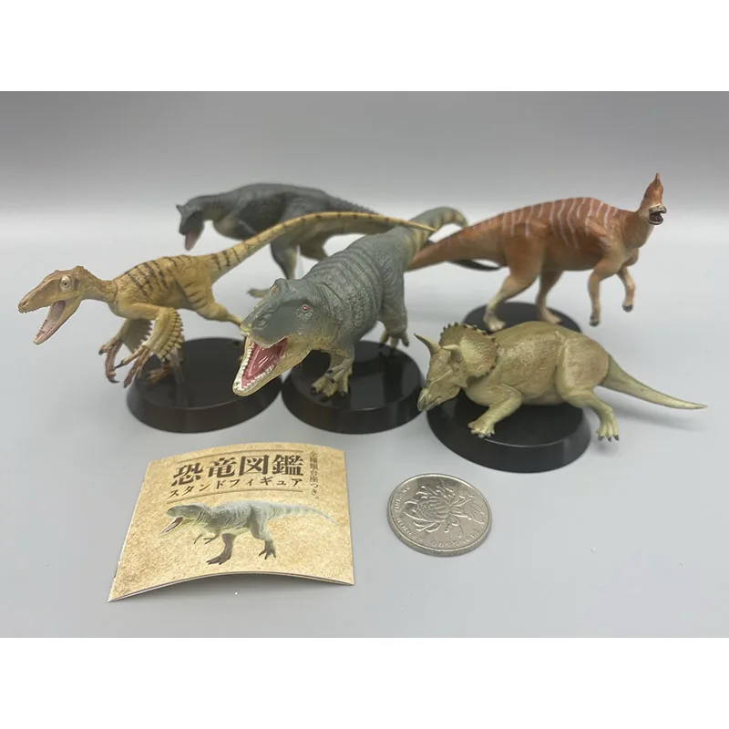 Dinosauro Stereo Libro Illustrato Gashapon Giocattolo Tirannosauro Carnotaurus Triceratopo Action Figure Simulazione Modello Ornamento Giocattoli