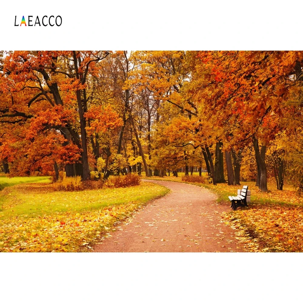 Laeacco осень опавших листьев лесной дороге Bench живописные фотографии Фоны индивидуальные фотографические фонов для Аксессуары для