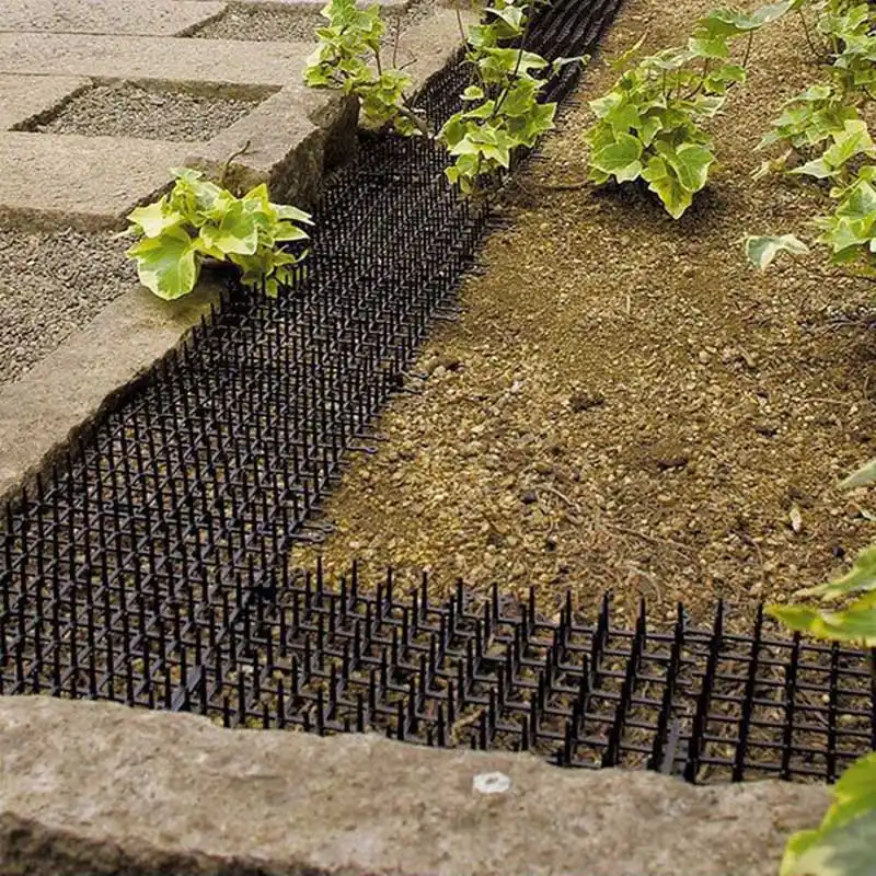 Tapis De Jardin Anti Chat Rt99 En Plastique Bande Avec Ergots Piquants Pour Tenir Les Chats A Distance Sans Les Blesser Longueur 2m Aliexpress