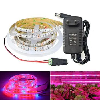 

Cultivo Indoor Plant Light LED Strip 5050 LED Grow Light LED Lamp phytolamp Tape Vegetables Flower phytolent for plants Seeds