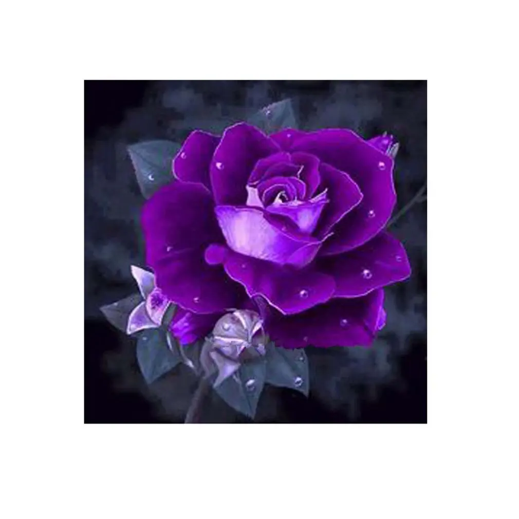 Diamond Drawingdecorative Picture Paintingfor Family Livingroom Bedroom |