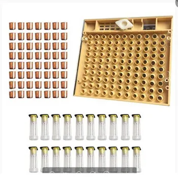 

Beekeeping Tools Set Queen Rearing System Cultivating Box 120 Cell Cups Bee Nicot Complete Catcher Cage Beekeeping Equipment