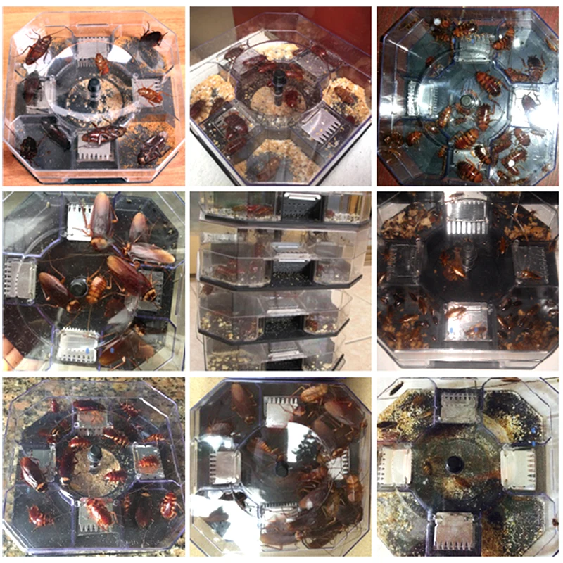 Cockroach trap Killer Physical, non-toxic Cockroach catcher Box Pest control Reusable ,Home, office, kitchen