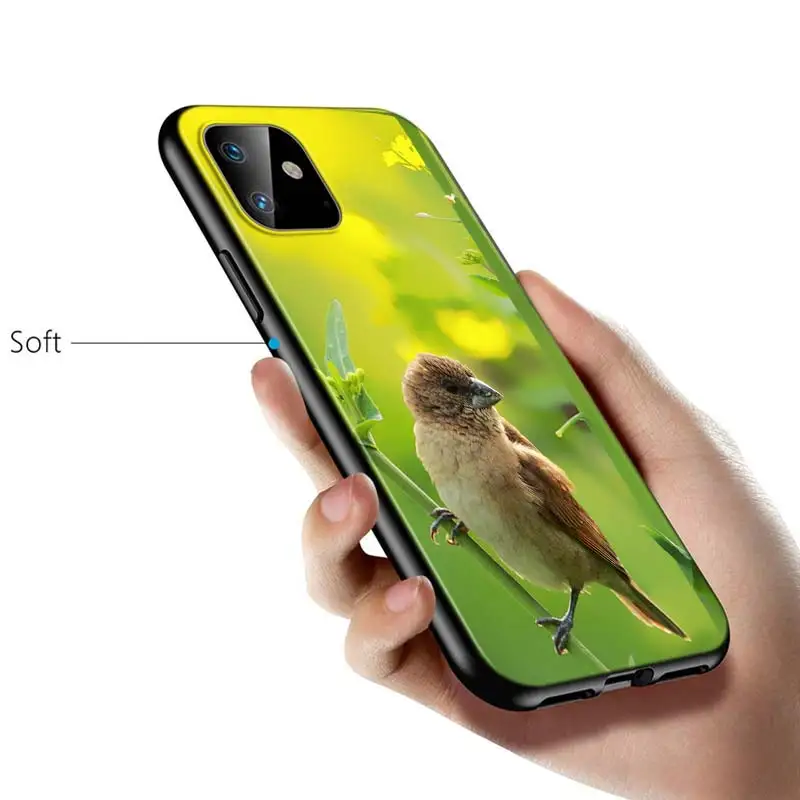 Animal Parrot Bird Silicone Cover For Apple IPhone 12 Mini 11 Pro XS MAX XR X 8 7 6S 6 Plus 5S SE Phone Case iphone 7 phone cases More Apple Devices