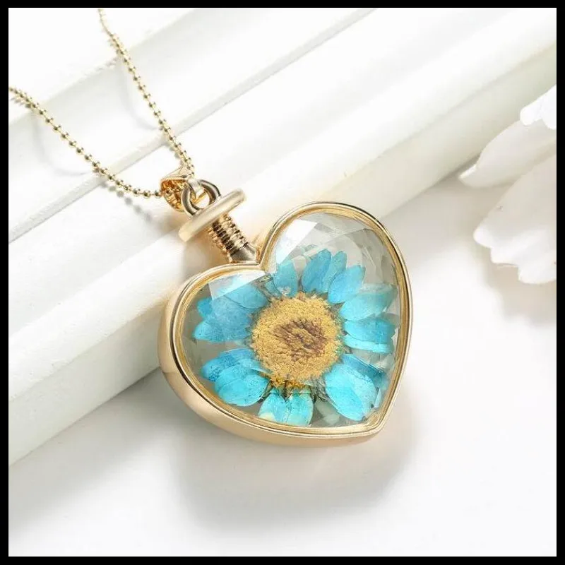 150N36 心形植物干花 9