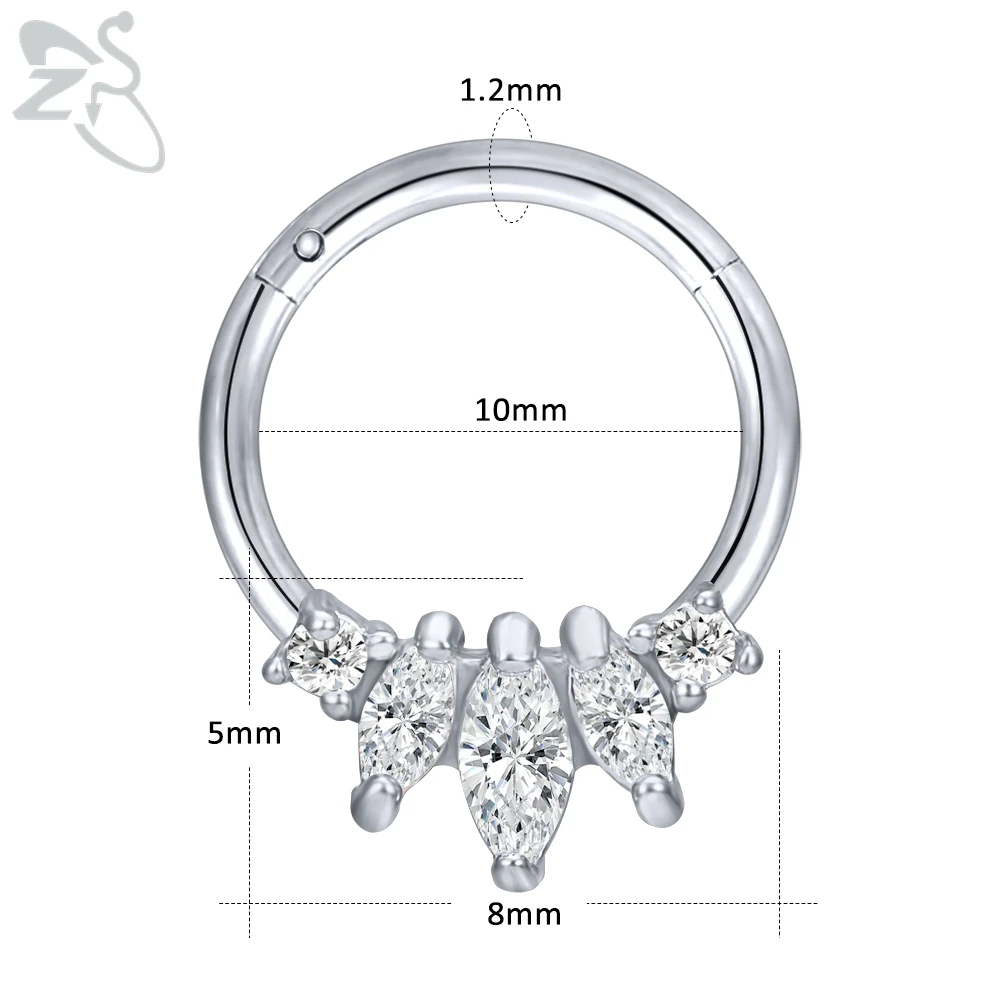 ZS, 1 шт., 16 г, 316L, нержавеющая сталь, Кристальное кольцо для носа, кликеры, перегородка, кольца круглой формы, спираль, ушной хрящ, пирсинг, ювелирные изделия - Окраска металла: E-10