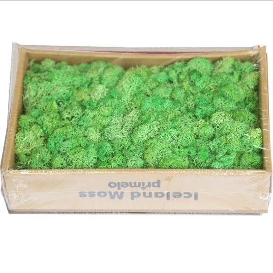light green 200 г/упак. искусственные растения серьги цвета мха из натурального агата трава DIY поддельная Цветочная композиция украшения дома сада Ландшафтные аксессуары хорошая упаковка - Цвет: light green