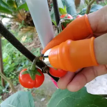 

b New Products Multi-Purpose Pepper Fruits Appliances Knife Beans Farmwork Harvest Finger Guard S