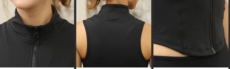 9155861799_798445644