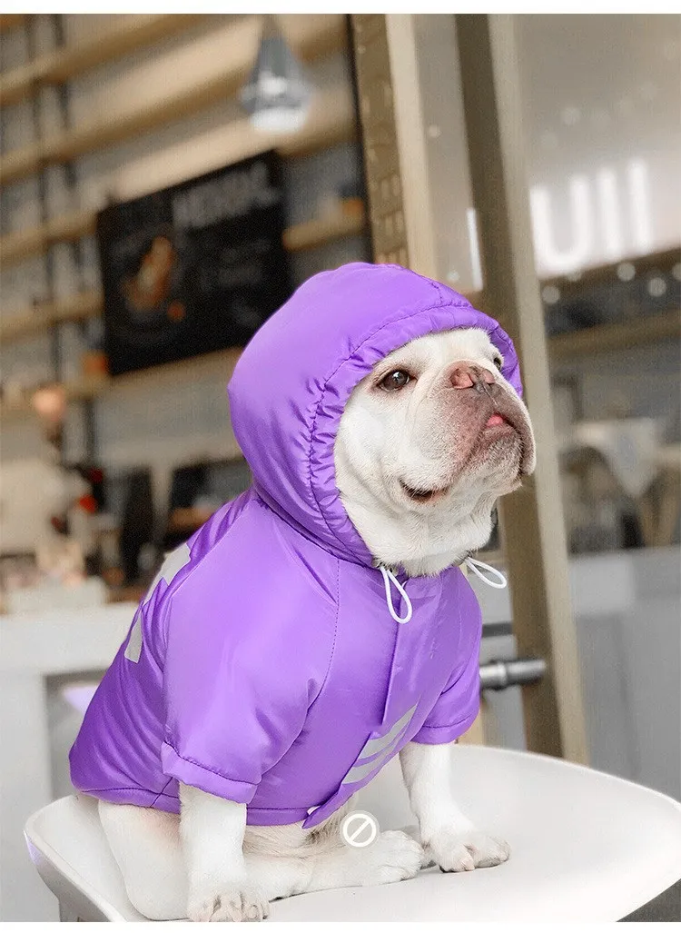 IMG_5372(20201121-230007)_副本