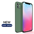 DarkGreen