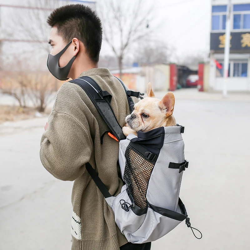 backpacks for carrying french bulldogs