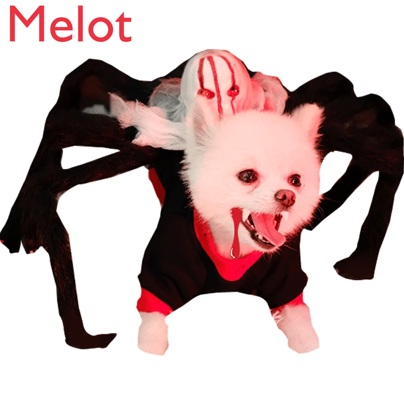 犬のための面白いスパイダースタイルの服 秋と冬のための面白い服 ペットのテディ 猫 ポメラニアン 小型犬 子犬 シュナウザー Aliexpress ホーム ガーデン