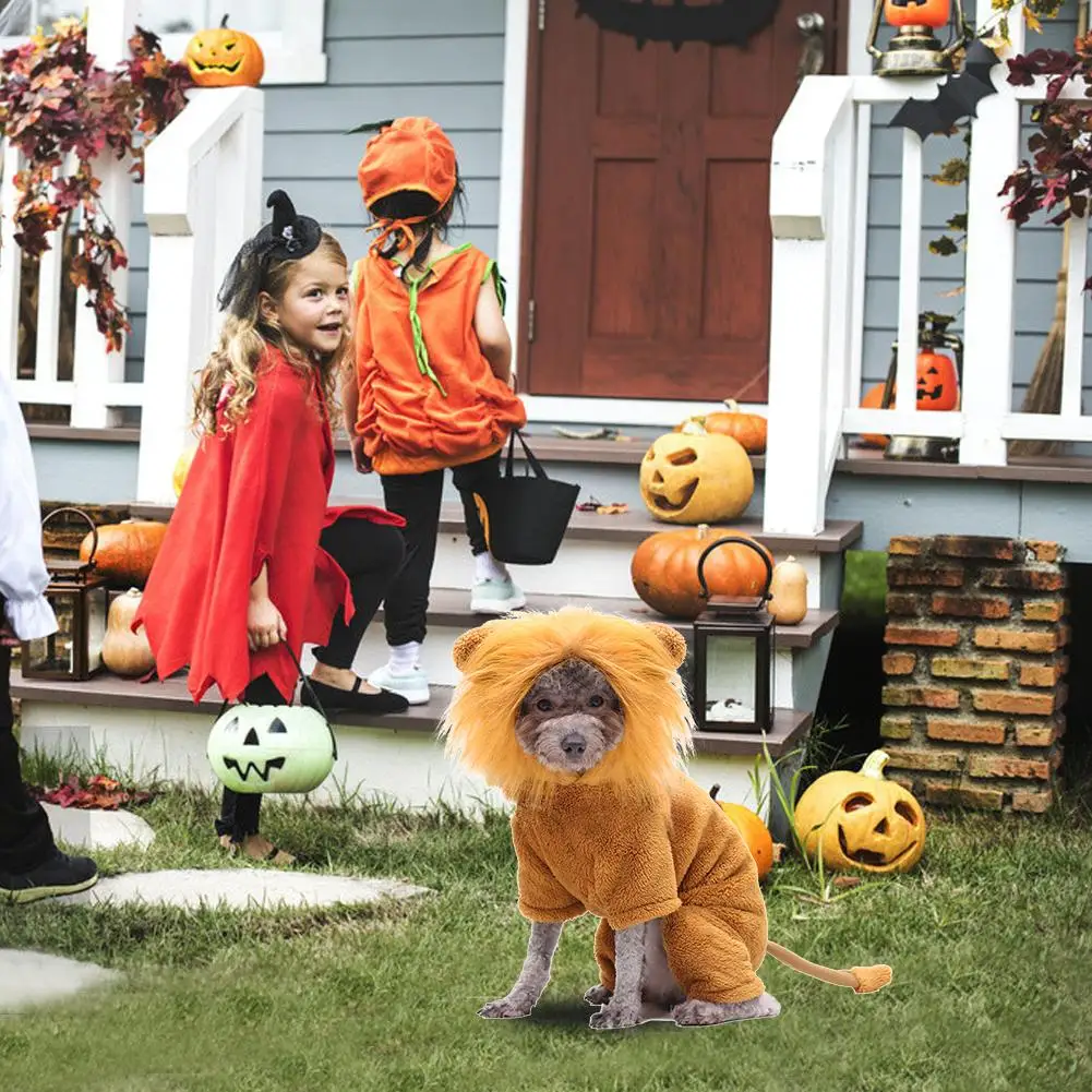 Navidad fotografía disfraz de león Halloween para mascotas fiesta gato y perro Carolilly Disfraz de melena de león cosplay 
