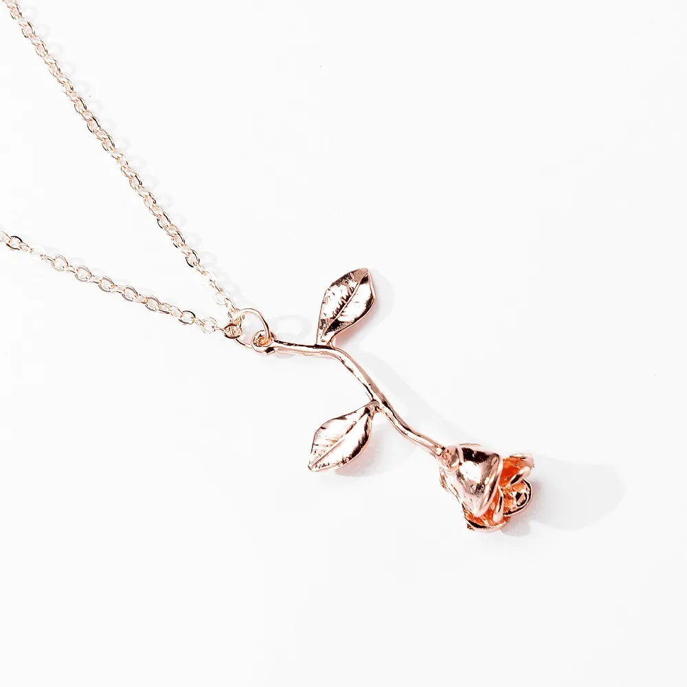 5027481514_1015242489