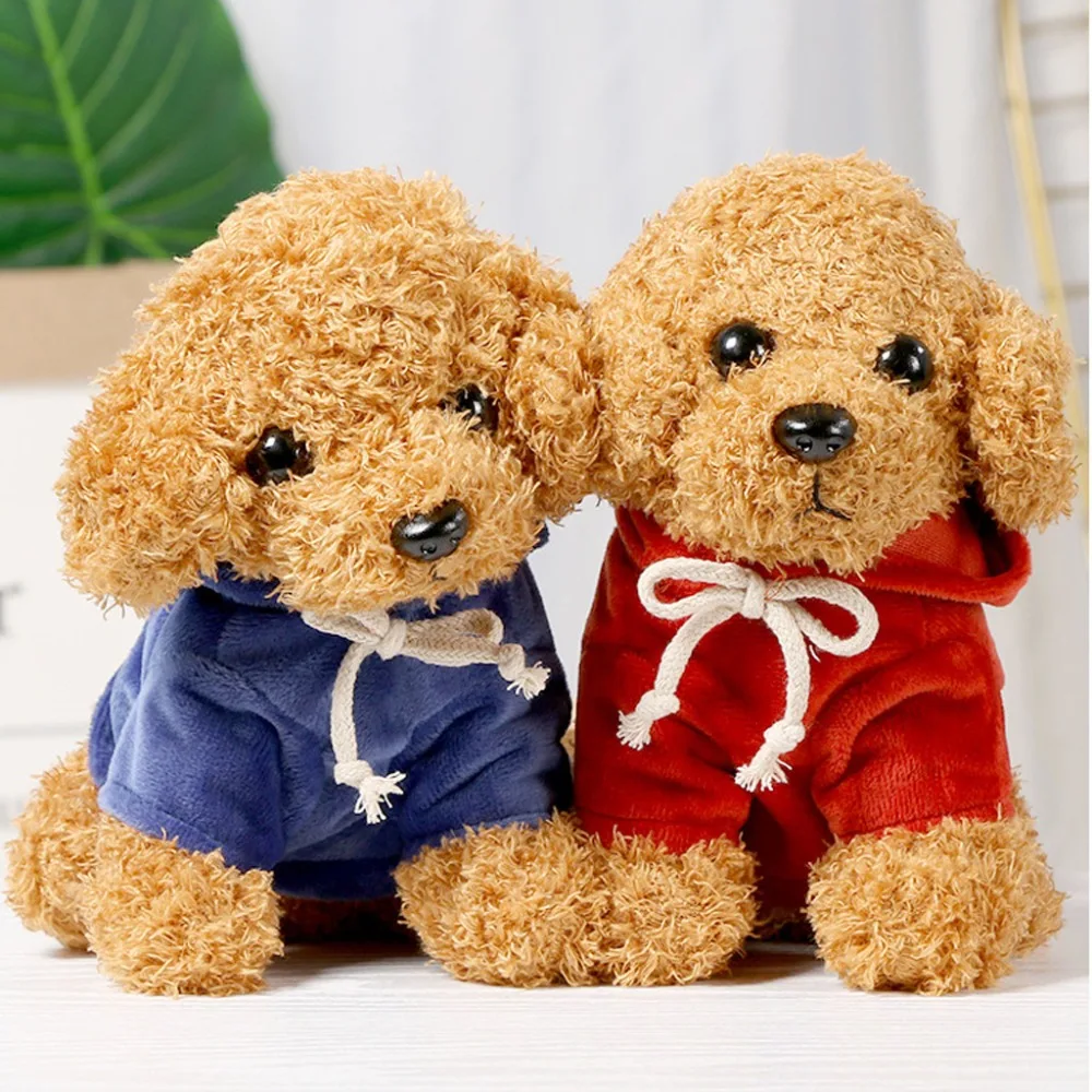 Teddy Dog Rag  (1)