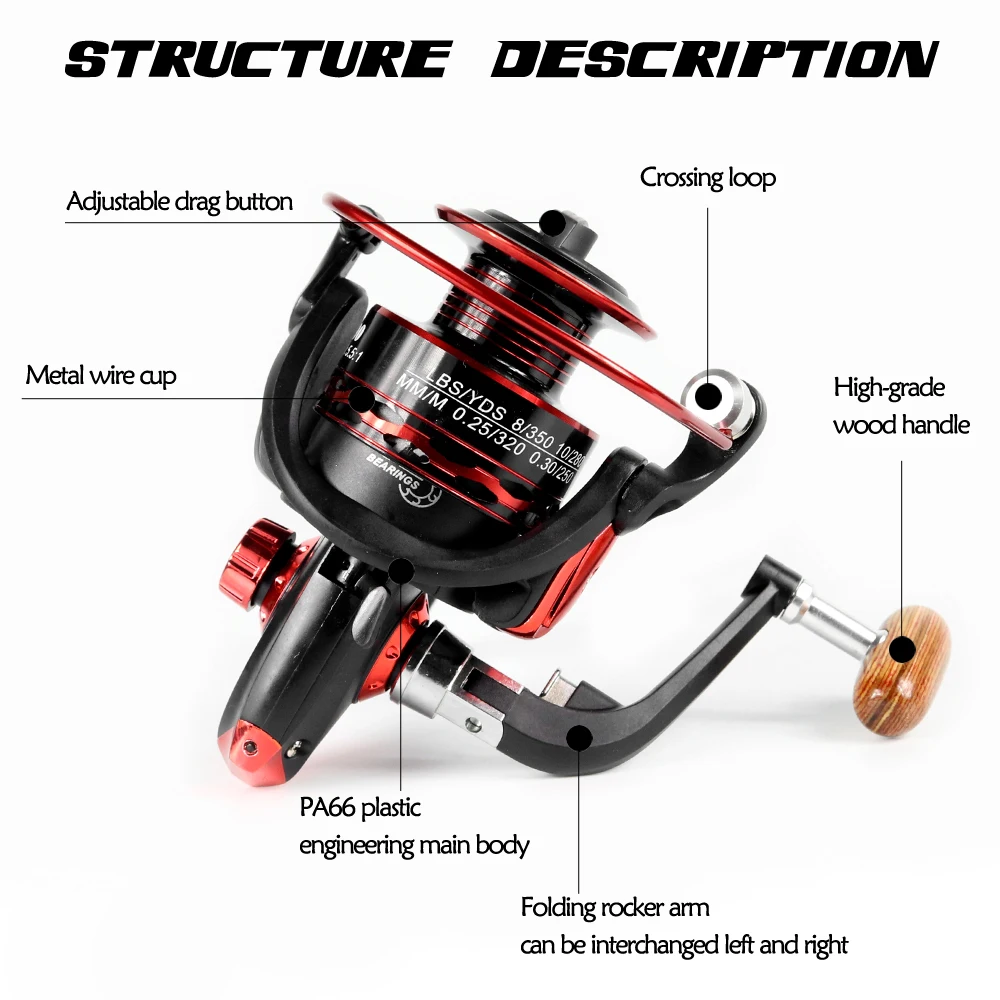 dsc-products