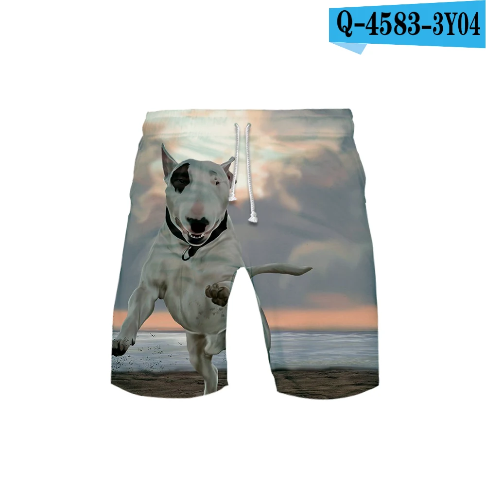 Terrier 3D print Basic Street hip hop Fashion cool Beach Summer Casual comfortable kpop man Hipster - Цвет: Q4583