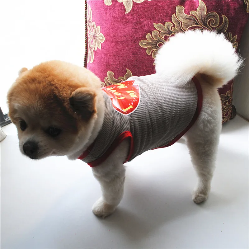 11073434215_361259826