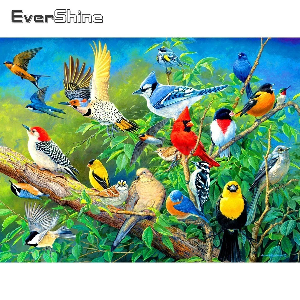 EverShine DIY Animals Paint With Diamonds Full Square Diamond Embroidery Bird Picture Of Rhinestones Mosaic Handmade Wall Decor | Дом и сад
