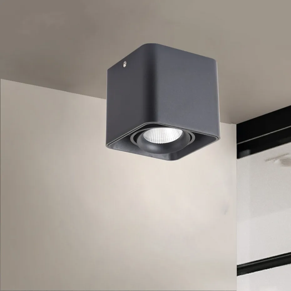 LED Surface downlight (55)