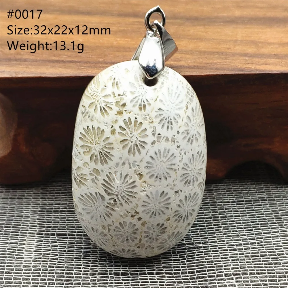SHP0017 (3)
