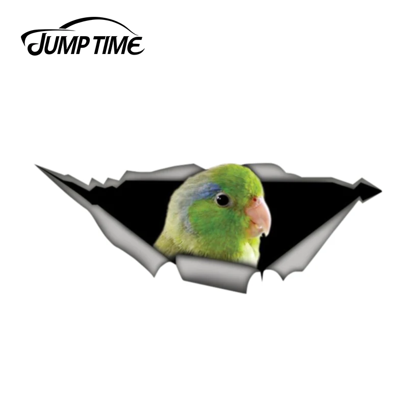 Прыгать время 13 см x 4 8 parrotlet автомобиля Стикеры виниловые наклейки в виде