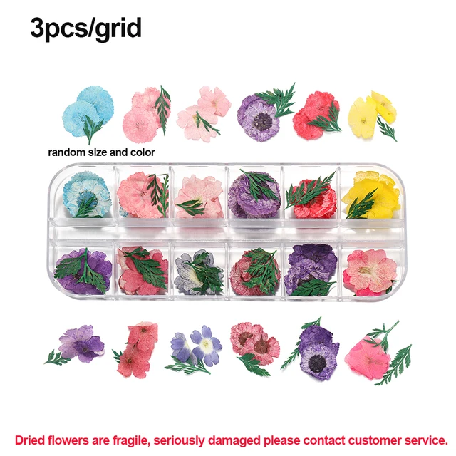 1Box Dried Flowers Dry Plants for Rsein Molds Fillings Epoxy Resin Pendant Tweezers Jewelry Making Craft DIY Nail Art Decoration Style22