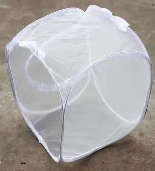 

grasshopper small box Large Insect Box Butterfly Cage Children Grasshopper Small Pet Supplies Catch Exploring Abiunisex Lity