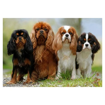 

Diy Diamond Embroidery Cavalier King Charles Spaniel Diamond Mosaic Dog Full Round Cross Stitch Rhinestone with Diamond Painting