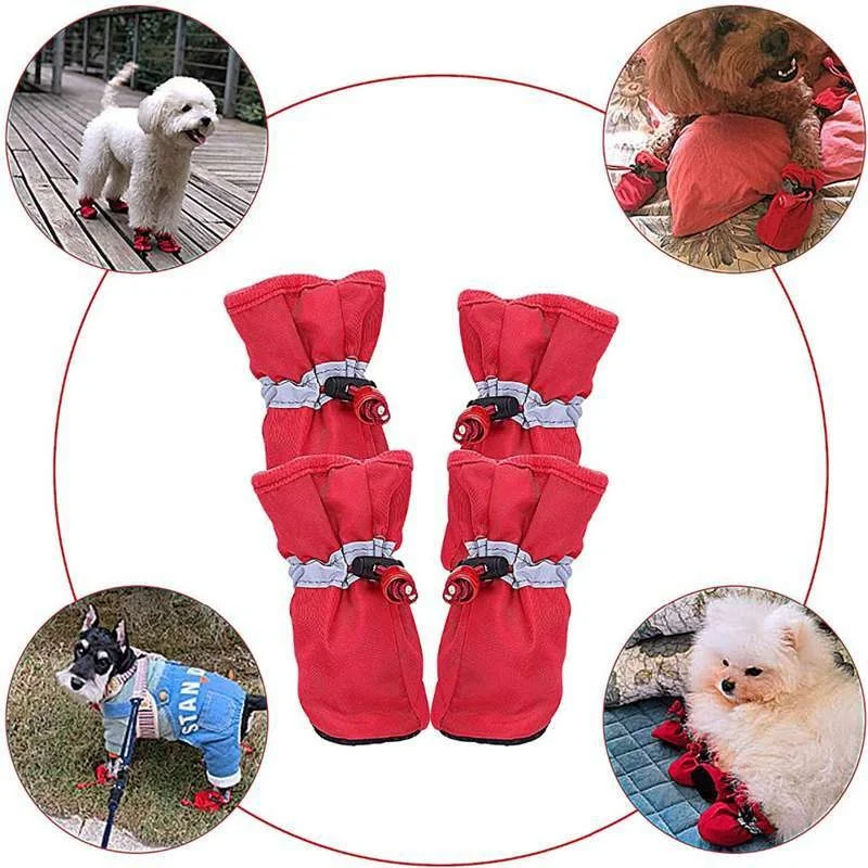 dog booties for small dogs.jpg_.webp
