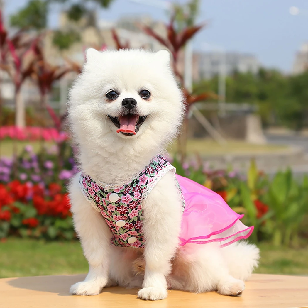 Fashion Cute Flower Pet Dress For Dogs Cats Cozy Summer Puppy Skirt Pet Dress Princess Party Small Dog Skirt Outfit Dog Clothes