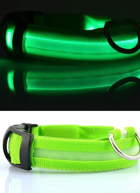 Collar fluorescente luminoso para perros, Correa de nailon mascotas, suministros de seguridad nocturna que brilla en la oscuridad - Hogar y jardín