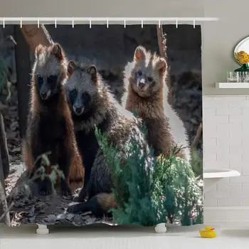 

Shower Curtain Set with Hooks 66x72 Fur Raccoon Mammal Nyctereutes Dog Close Looking Long Brown You Animals Wildlife Carnivore