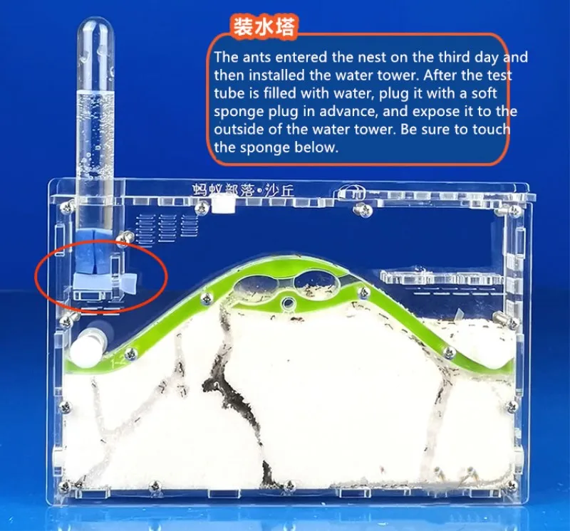 1-ant nest (4)