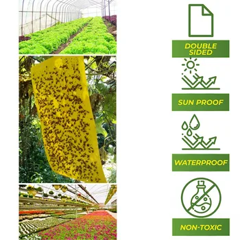 

5/10/20/50PCS Dual-Sided Yellow Sticky Traps For Flying Plant Insect Like Fungus Gnats Whiteflies Aphids Leaf Miners Thrips HOT
