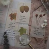 Autocollant flocons Scrapbooking Vintage plantes d'automne fleurs, étiquette décorative pour Journal intime, papeterie pour Album japonais ► Photo 3/6