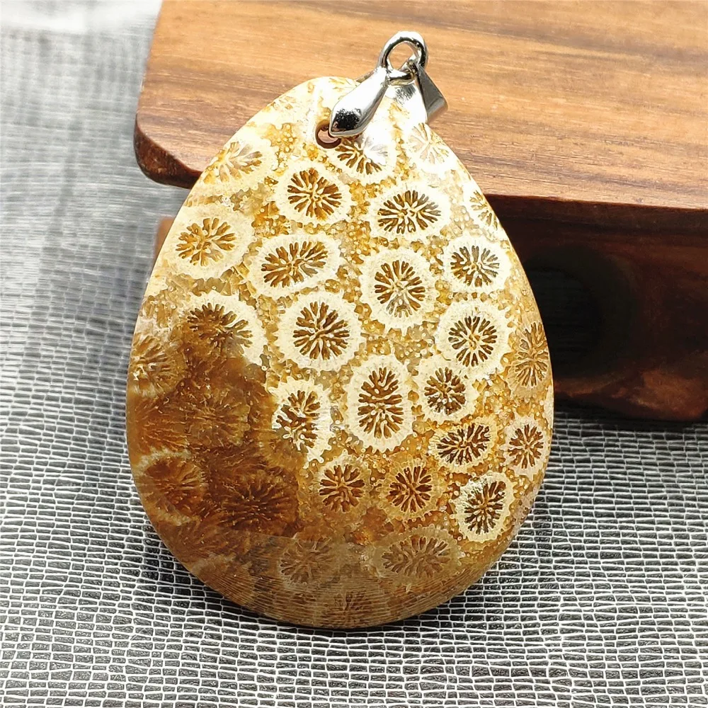 SHP0002 (2)