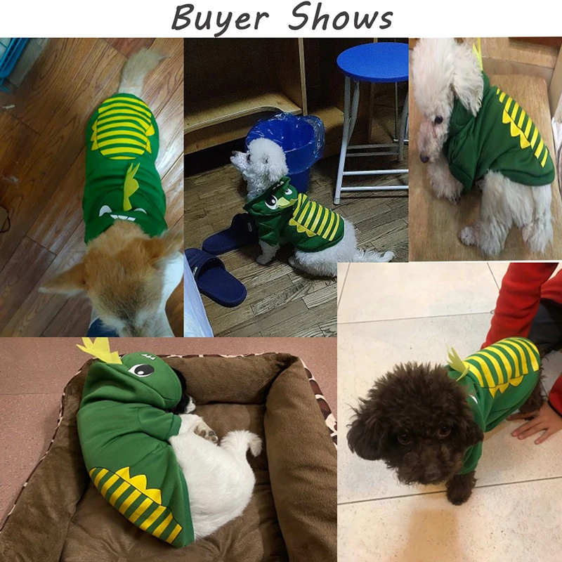 Colorful Funny Hoodies For Mischievous Dogs