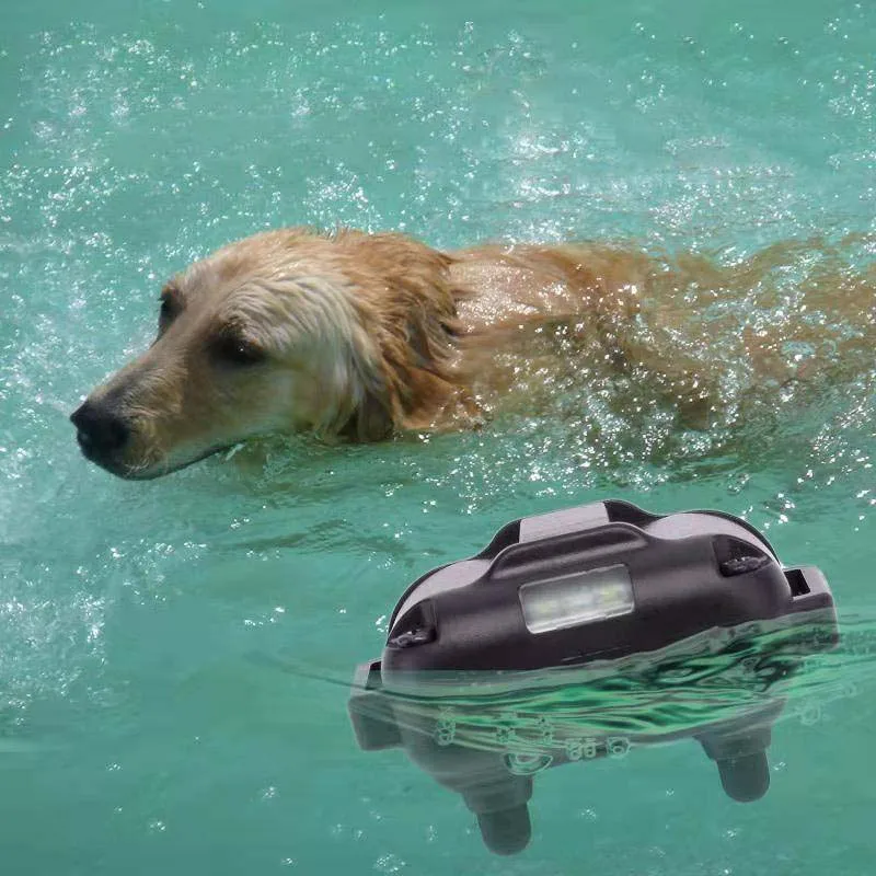 Ошейник для собак водонепроницаемый перезаряжаемый электрический ошейник для дрессировки собак с пультом дистанционного управления электрический ошейник для дрессировки собак