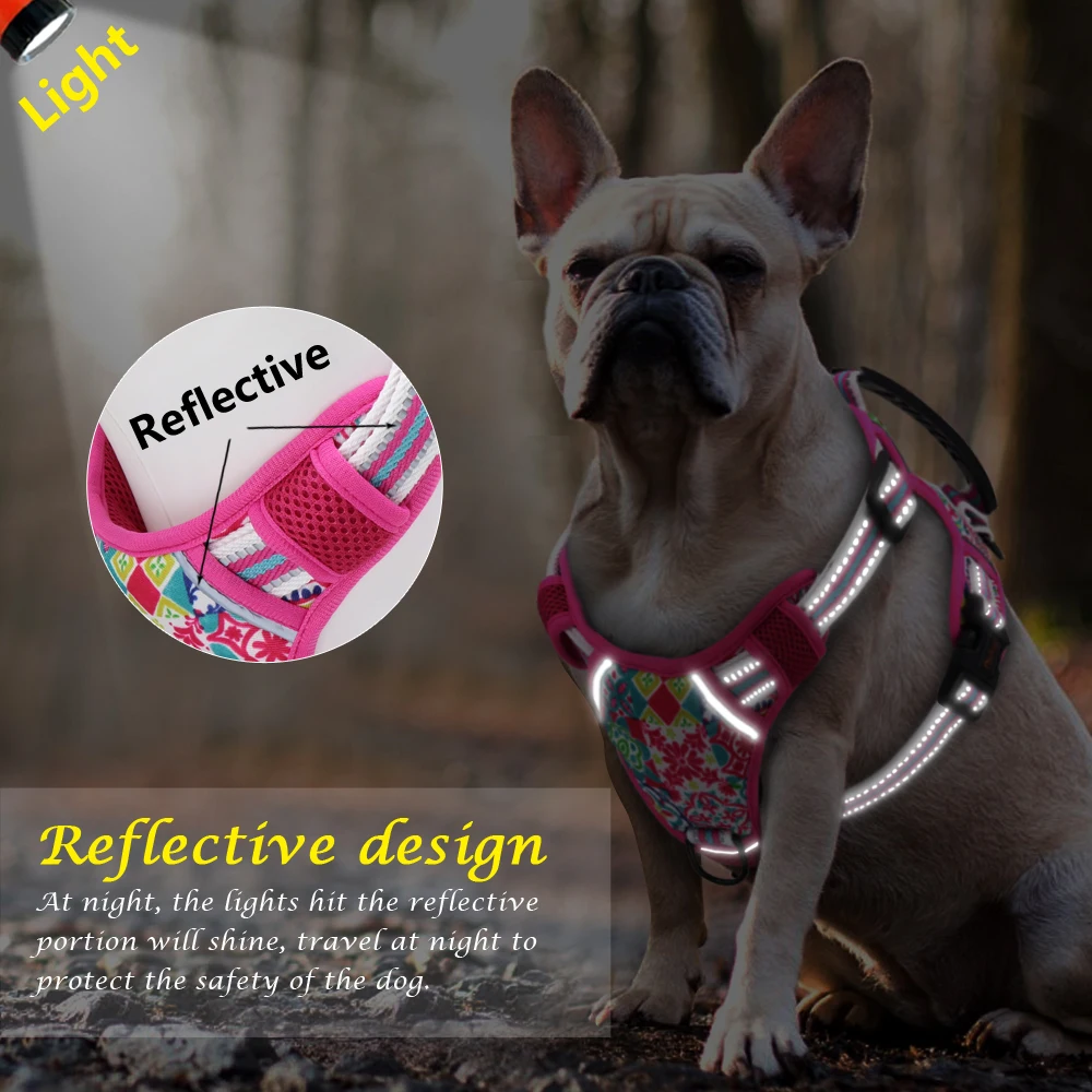 Soft Breathable Air Mesh Dog Harness Vest & Leash for French Bulldog Pitbull S M 