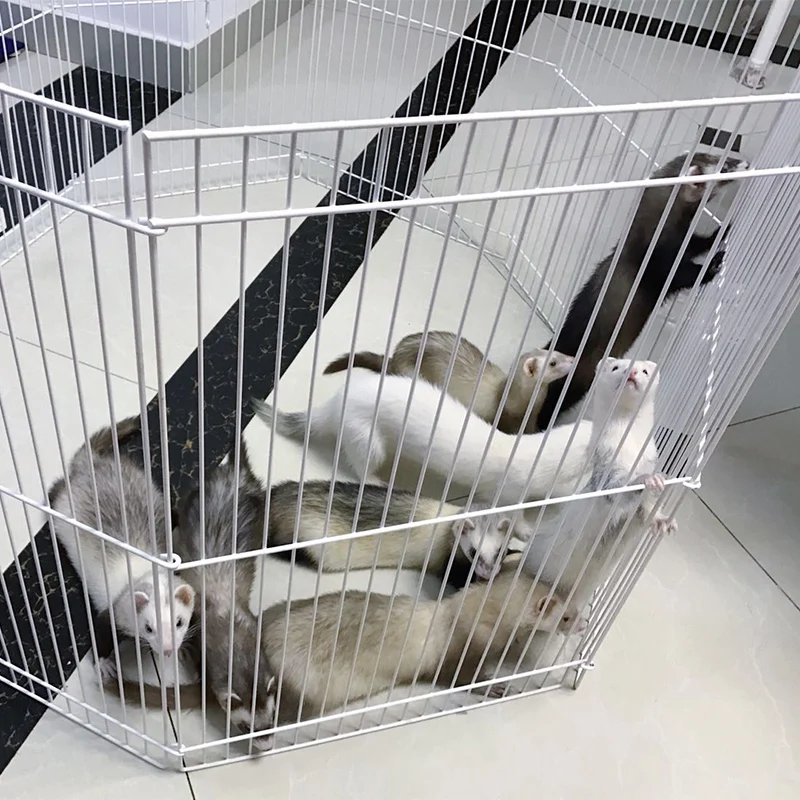 Американский Midwest Дракон кошка Забор Pet Ferret забор ветра для предотвращения пробоя
