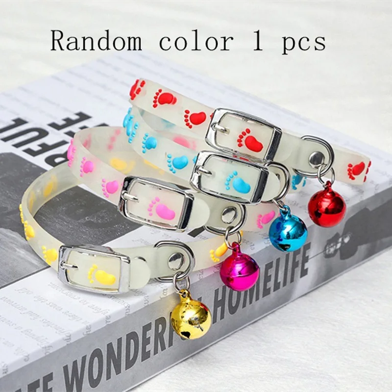 kitten collar.jpg_.webp