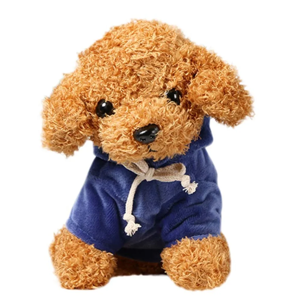 Teddy Dog Rag  (22)