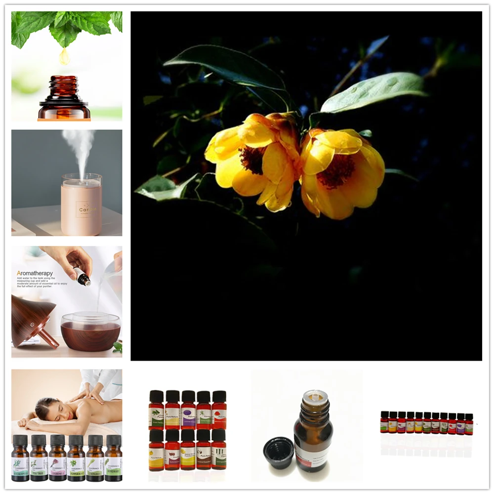 Water Soluble Oil Essential Oils For Aromatherapy Cotton Rose Oil Humidifier Oil With 12 Kinds Of Fragrance Hibiscus Mutabilis Essential Oil Aliexpress