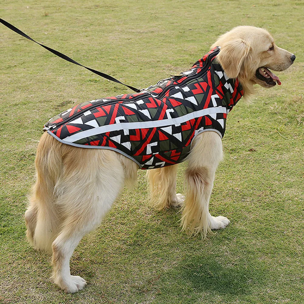 köpek mont
