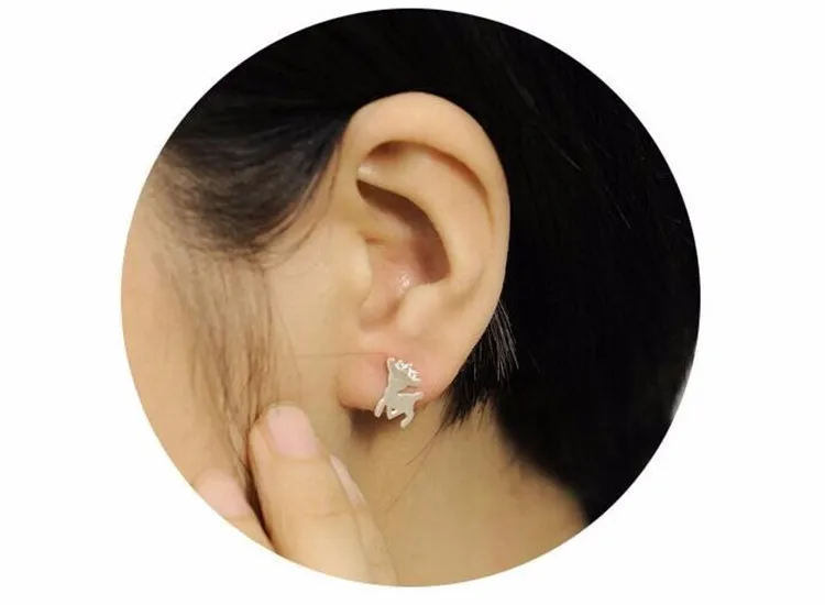 9782726512_1966409281