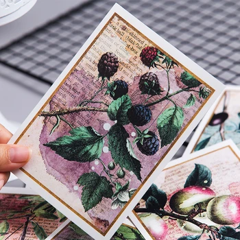 

Vintage plant illustration card DIY scrapbooking junk journal wall decoration photo prop card